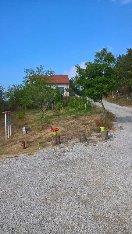 Micro-Cottage In Pietra La Ratatouille Dego Eksteriør billede